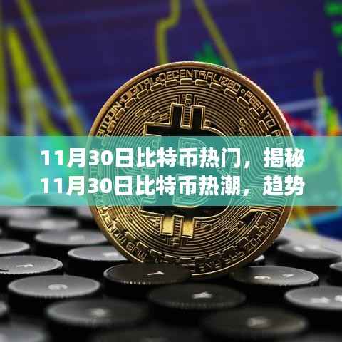 揭秘比特币热潮，趋势、影响与未来展望（11月30日热点分析）