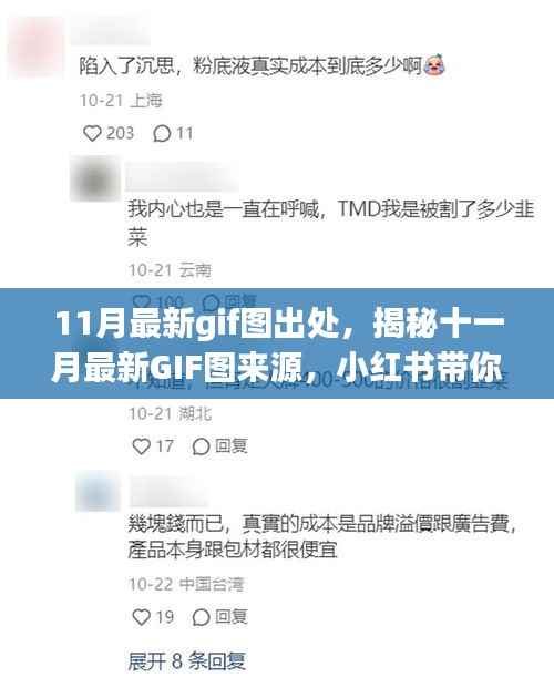 揭秘十一月最新GIF图来源，小红书带你玩转潮流前线