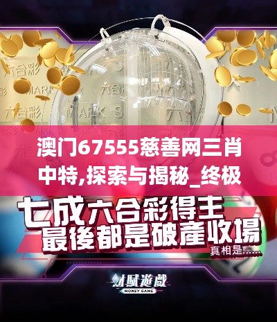 澳门67555慈善网三肖中特,探索与揭秘_终极版9.471