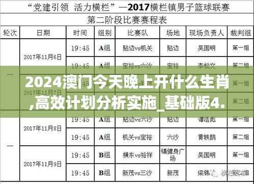 2024澳门今天晚上开什么生肖,高效计划分析实施_基础版4.408