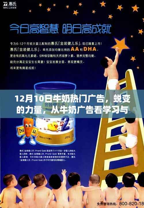 腾龙换鸟 第2页