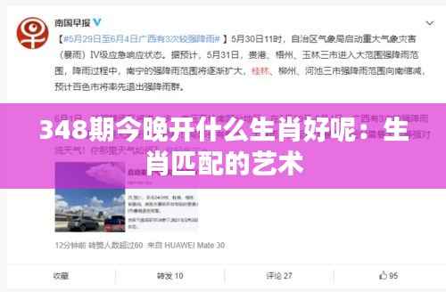 348期今晚开什么生肖好呢：生肖匹配的艺术