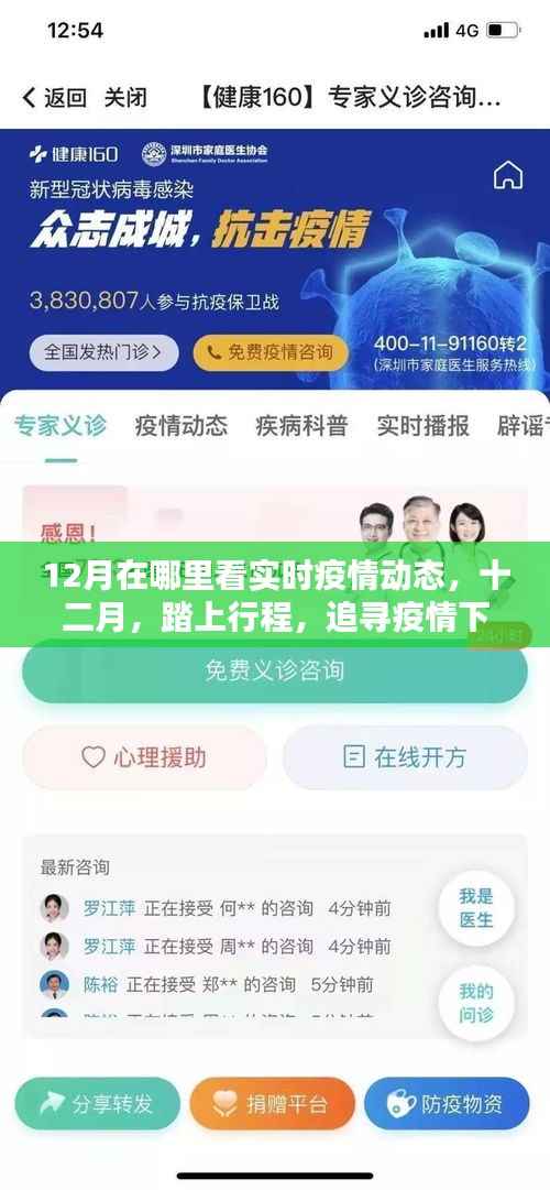十二月疫情下的旅行，追寻自然美景与内心宁静的实时动态