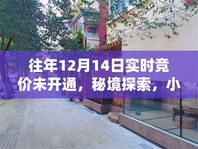 秘境探索，揭秘往年12月14日竞价未解之谜与小巷深处的特色小店