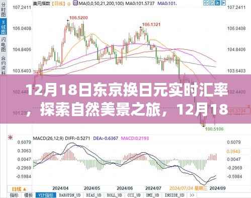 探索自然美景之旅，东京换日元实时汇率与心灵平静之旅
