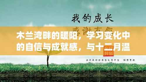 飞扬跋扈 第2页