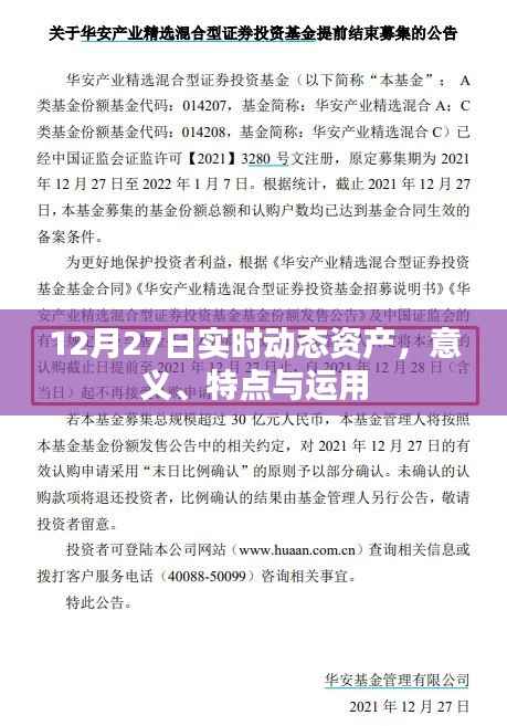 实时动态资产详解，意义、特点及应用解析
