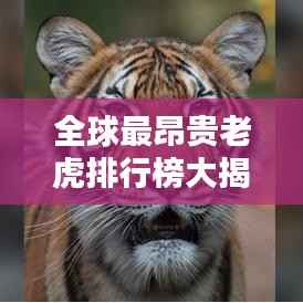 还淳反朴