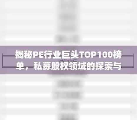 揭秘PE行业巨头TOP100榜单，私募股权领域的探索与洞察