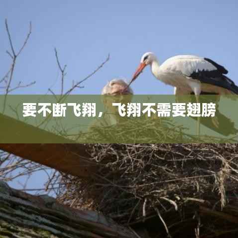 要不断飞翔，飞翔不需要翅膀 