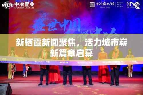 贵冠履轻头足